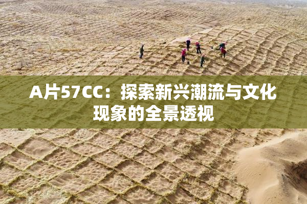 A片57CC：探索新兴潮流与文化现象的全景透视