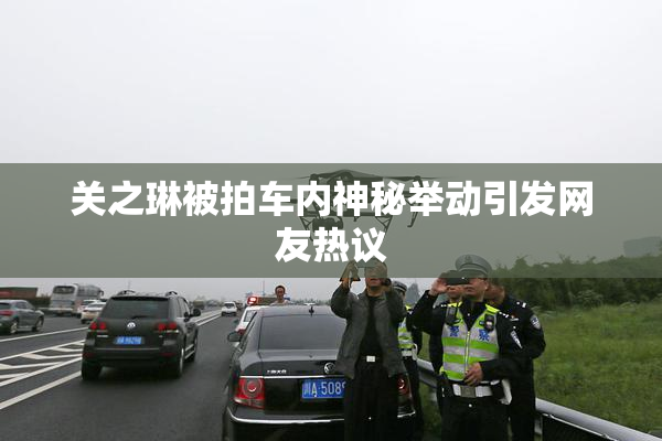 关之琳被拍车内神秘举动引发网友热议