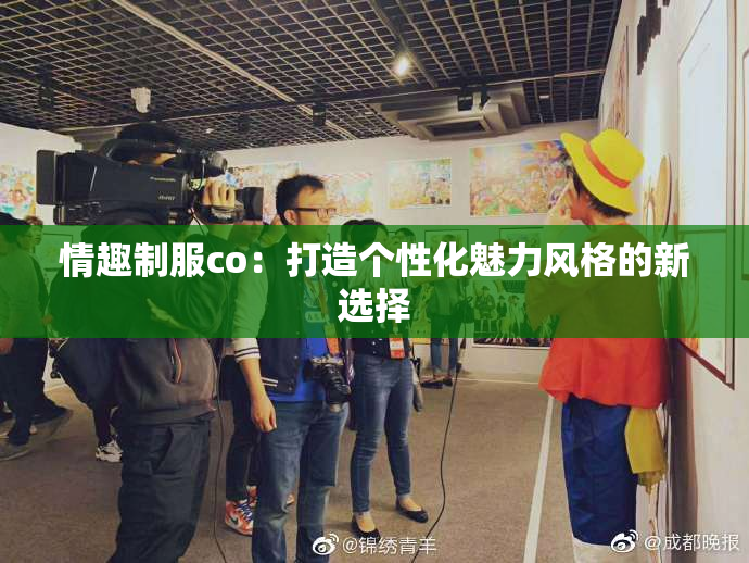情趣制服co：打造个性化魅力风格的新选择