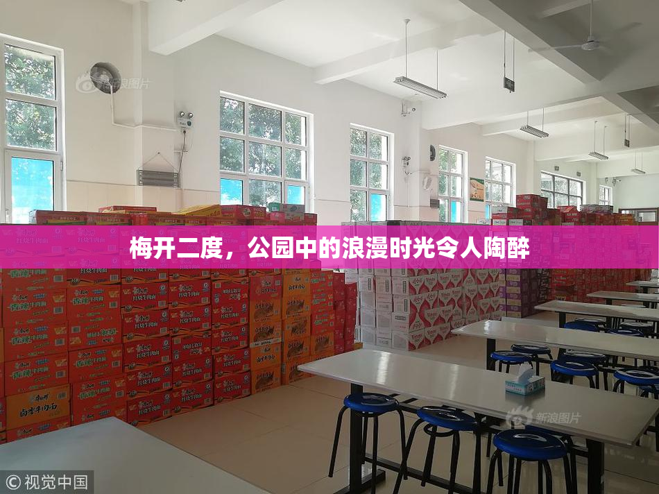 梅开二度，公园中的浪漫时光令人陶醉