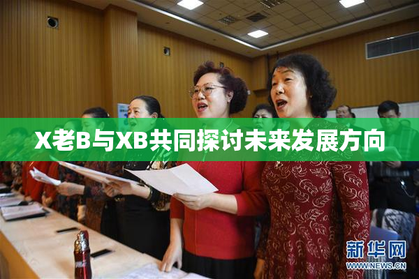 X老B与XB共同探讨未来发展方向