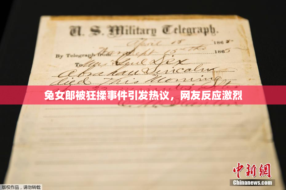 兔女郎被狂揉事件引发热议，网友反应激烈