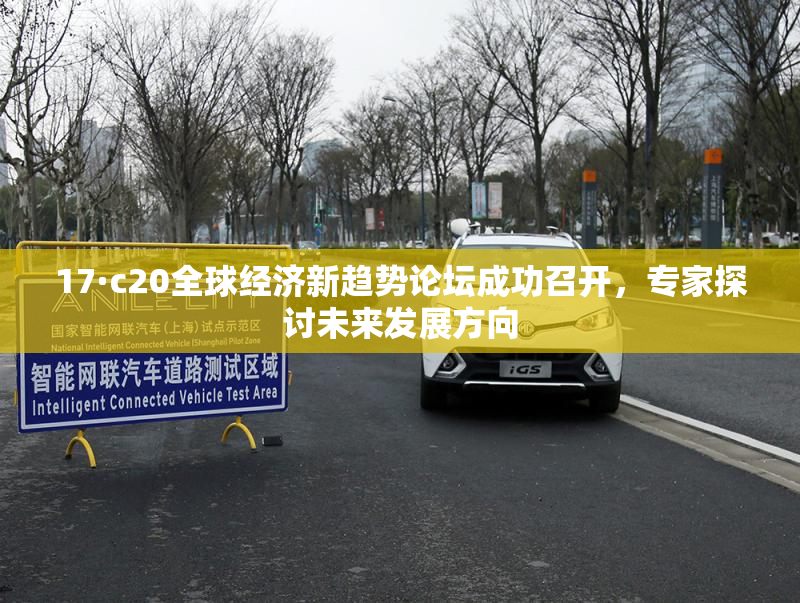 17·c20全球经济新趋势论坛成功召开，专家探讨未来发展方向