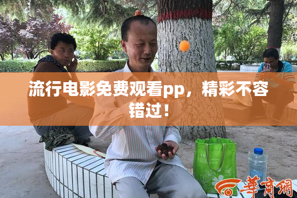 流行电影免费观看pp，精彩不容错过！