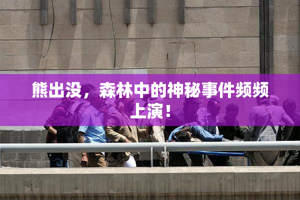 熊出没，森林中的神秘事件频频上演！
