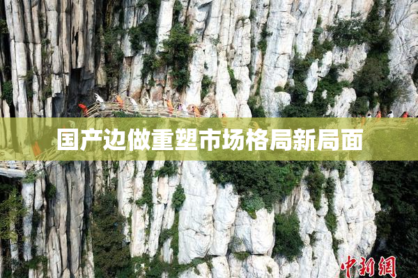 国产边做重塑市场格局新局面