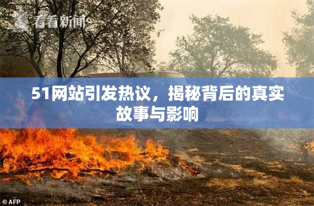 51网站引发热议，揭秘背后的真实故事与影响