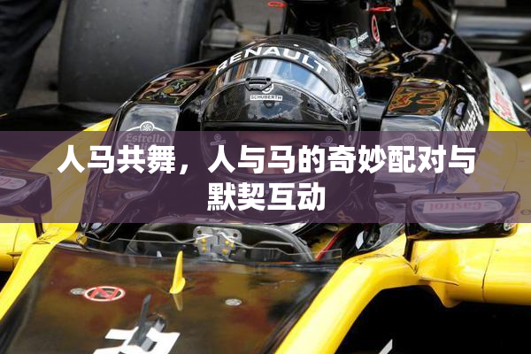 人马共舞，人与马的奇妙配对与默契互动