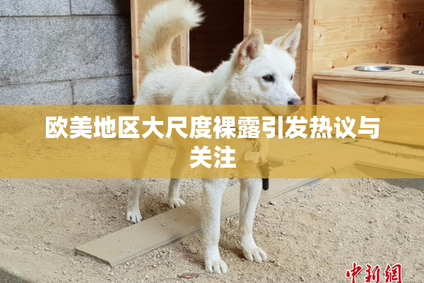 欧美地区大尺度裸露引发热议与关注