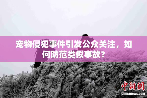 宠物侵犯事件引发公众关注，如何防范类似事故？