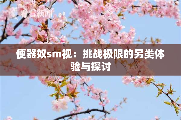便器奴sm视：挑战极限的另类体验与探讨