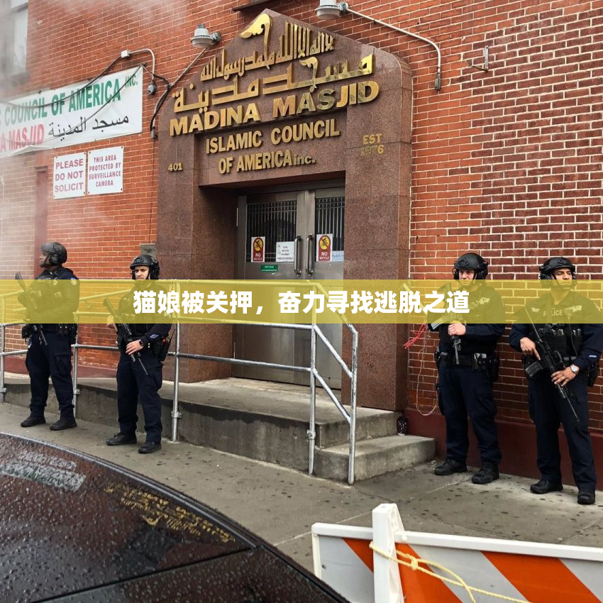 猫娘被关押，奋力寻找逃脱之道
