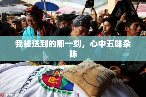 我被送到的那一刻，心中五味杂陈