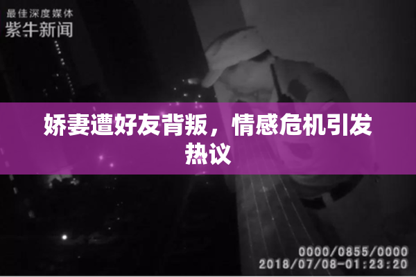 娇妻遭好友背叛，情感危机引发热议