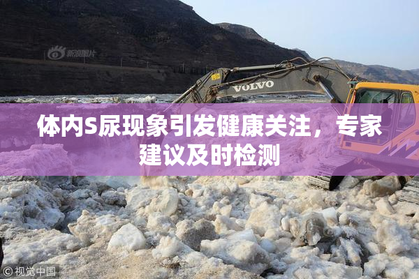 体内S尿现象引发健康关注，专家建议及时检测