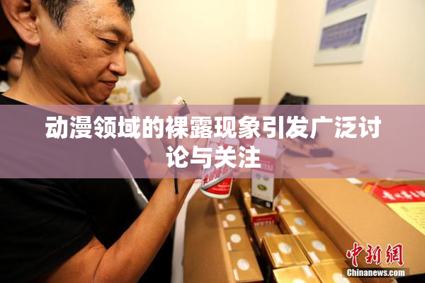 动漫领域的裸露现象引发广泛讨论与关注