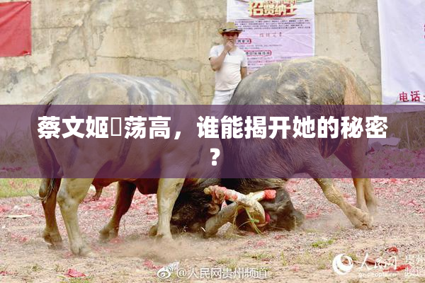 蔡文姬婬荡高，谁能揭开她的秘密？