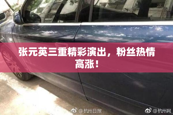 张元英三重精彩演出，粉丝热情高涨！