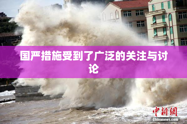 国严措施受到了广泛的关注与讨论