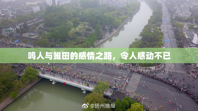 鸣人与雏田的感情之路，令人感动不已