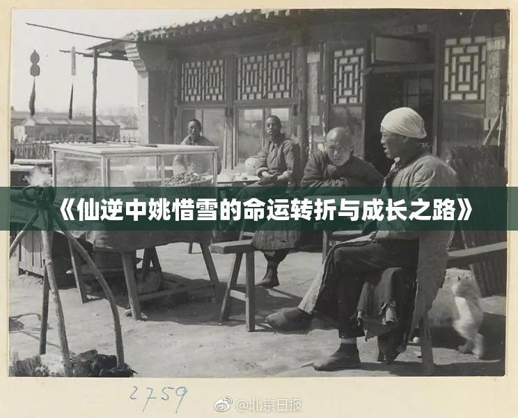 《仙逆中姚惜雪的命运转折与成长之路》