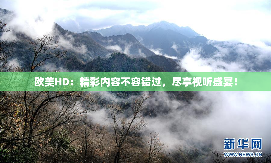 欧美HD：精彩内容不容错过，尽享视听盛宴！