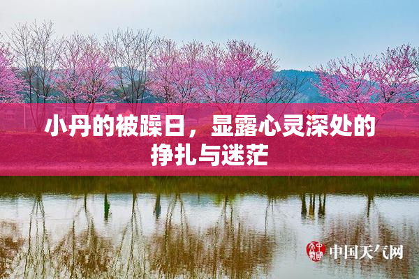 小丹的被躁日，显露心灵深处的挣扎与迷茫