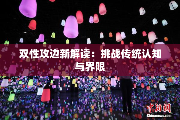 双性攻边新解读：挑战传统认知与界限