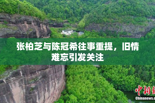 张柏芝与陈冠希往事重提，旧情难忘引发关注