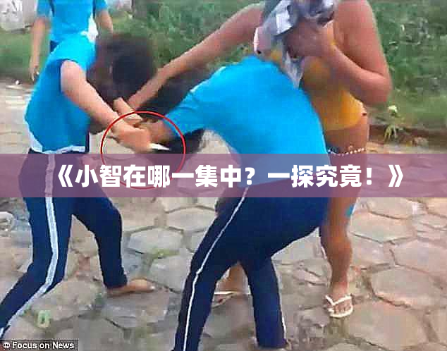 《小智在哪一集中？一探究竟！》