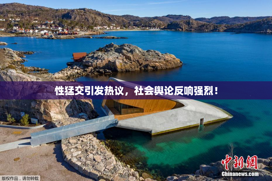 性猛交引发热议，社会舆论反响强烈！