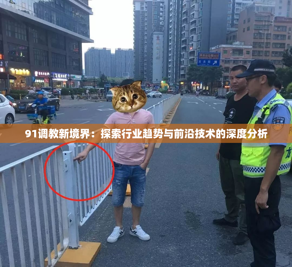91调教新境界：探索行业趋势与前沿技术的深度分析