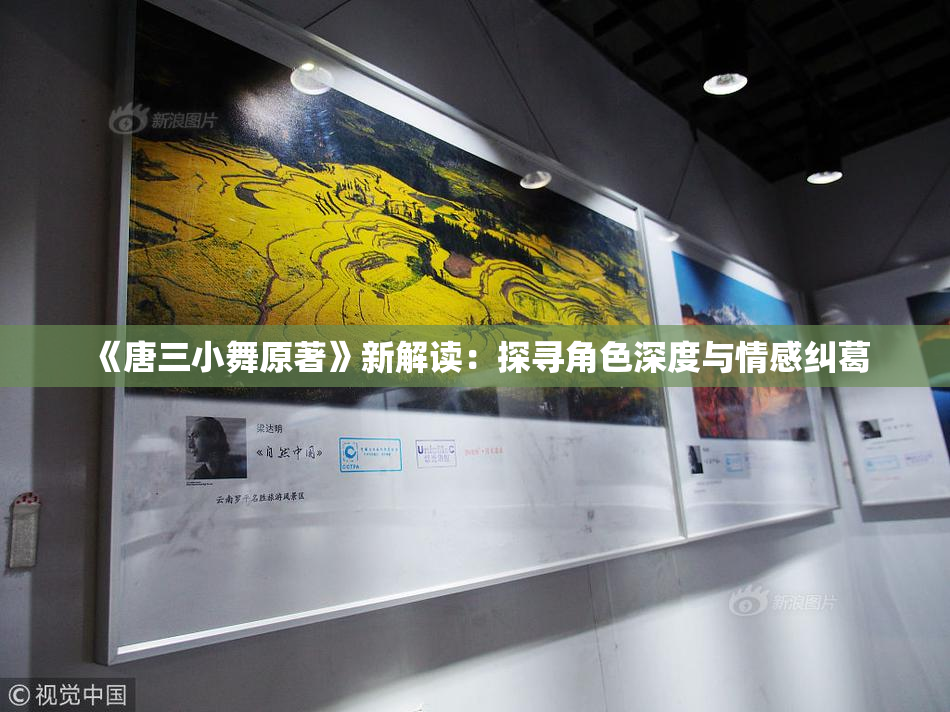 《唐三小舞原著》新解读：探寻角色深度与情感纠葛