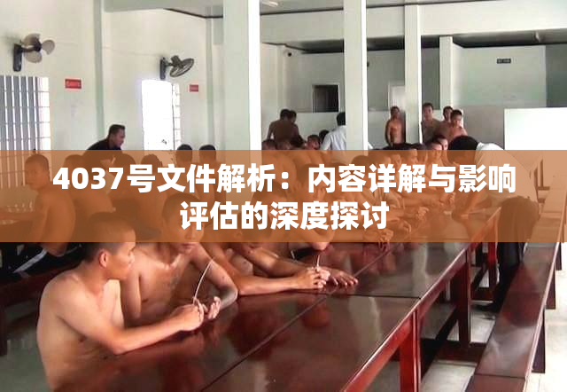 4037号文件解析：内容详解与影响评估的深度探讨
