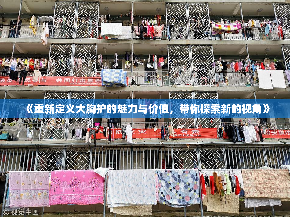 《重新定义大胸护的魅力与价值，带你探索新的视角》