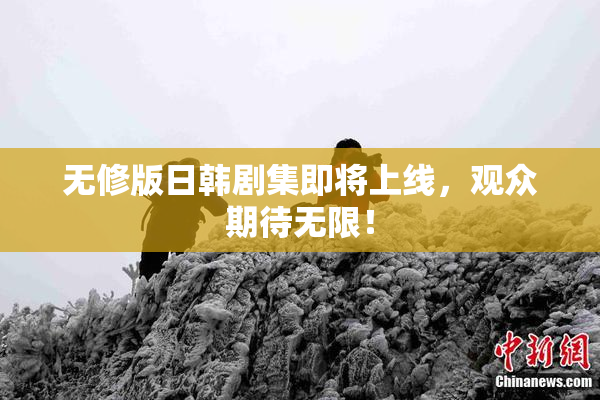 无修版日韩剧集即将上线，观众期待无限！
