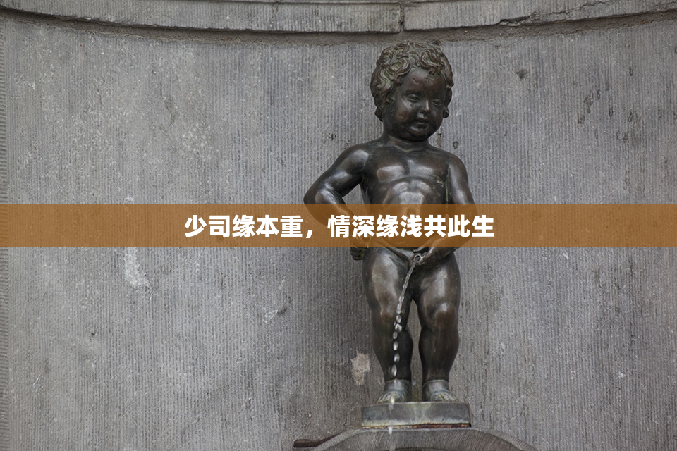 少司缘本重，情深缘浅共此生