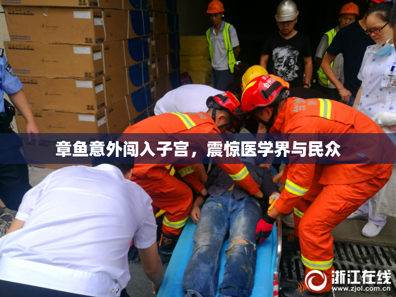 章鱼意外闯入子宫，震惊医学界与民众