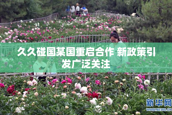 久久碰国某国重启合作 新政策引发广泛关注