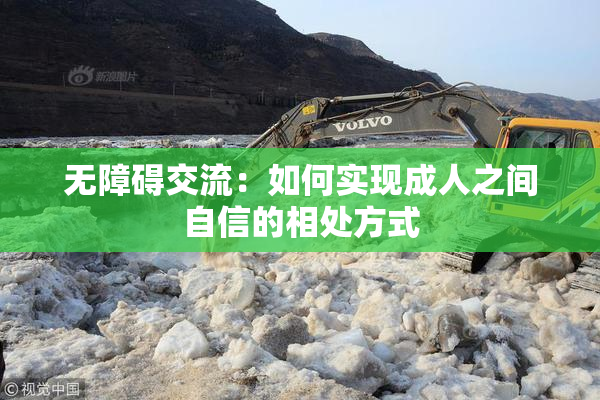 无障碍交流：如何实现成人之间自信的相处方式