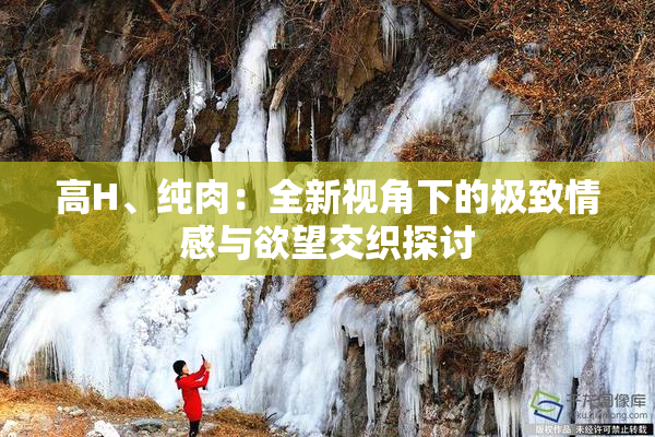 高H、纯肉：全新视角下的极致情感与欲望交织探讨