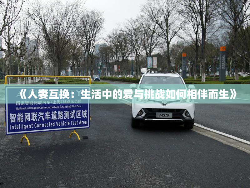 《人妻互换：生活中的爱与挑战如何相伴而生》