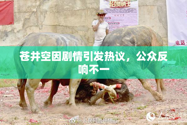 苍井空因剧情引发热议，公众反响不一