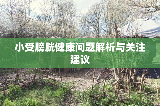 小受膀胱健康问题解析与关注建议