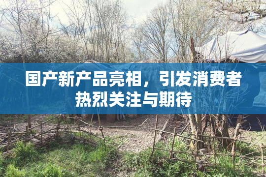国产新产品亮相，引发消费者热烈关注与期待
