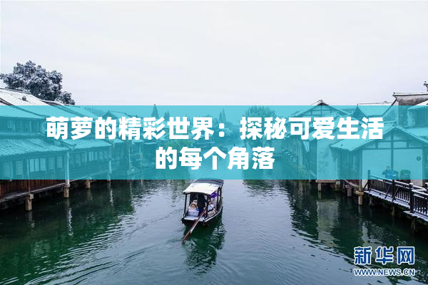 萌萝的精彩世界：探秘可爱生活的每个角落