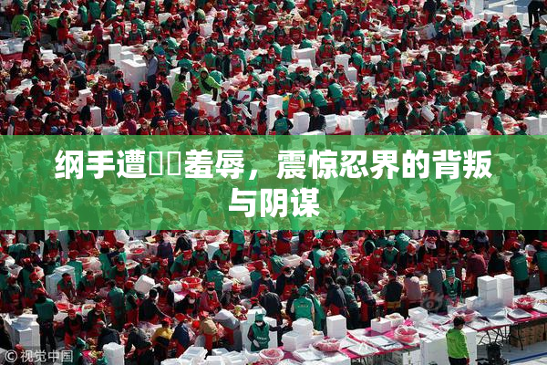纲手遭❌‌羞辱，震惊忍界的背叛与阴谋