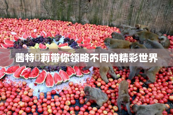 茜特菈莉带你领略不同的精彩世界