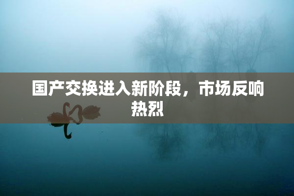 国产交换进入新阶段，市场反响热烈