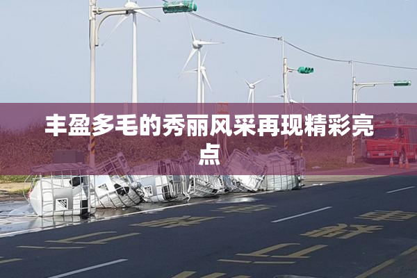 丰盈多毛的秀丽风采再现精彩亮点